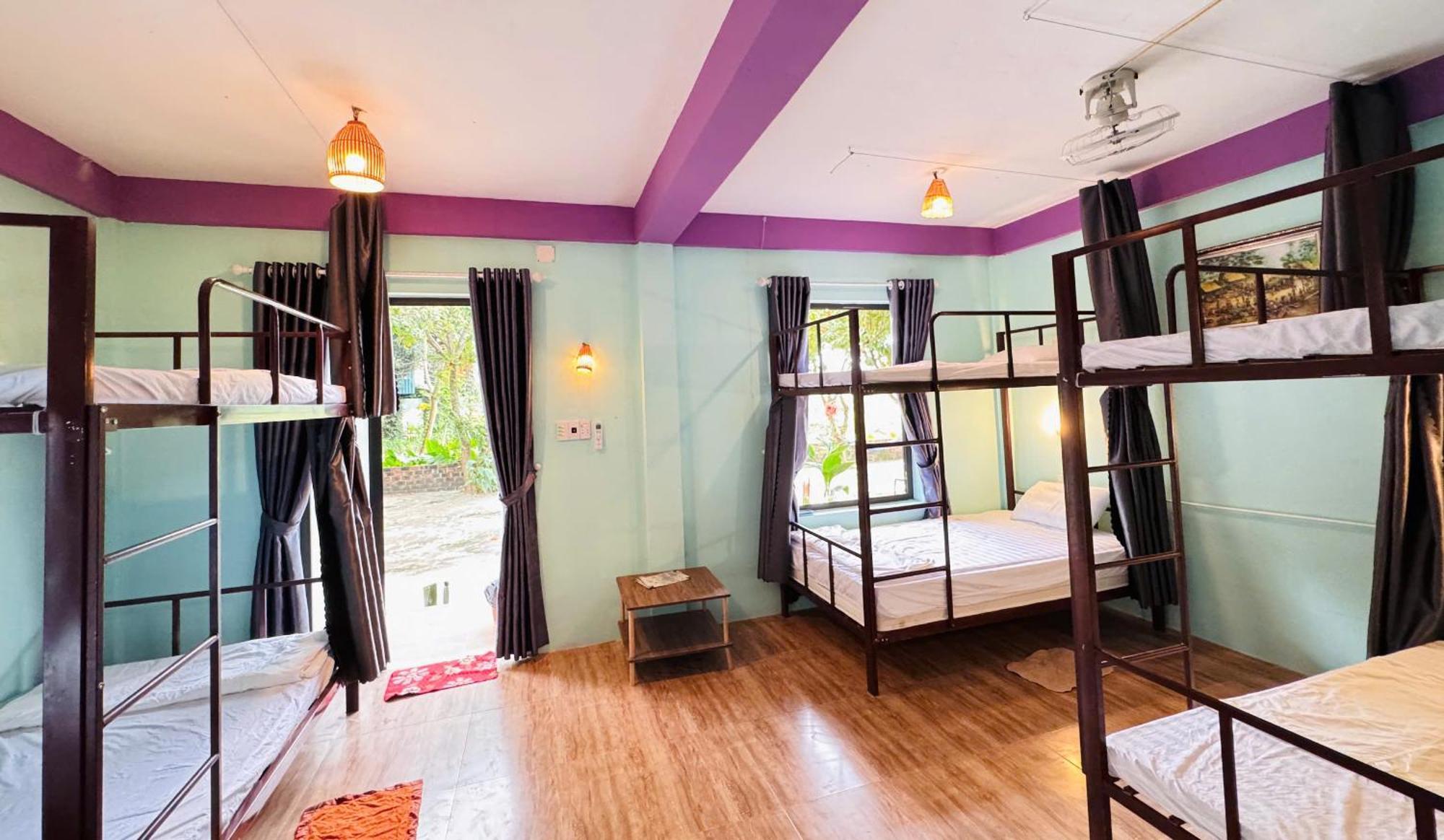Jungle Boss Homestay Phong Nha Exterior foto
