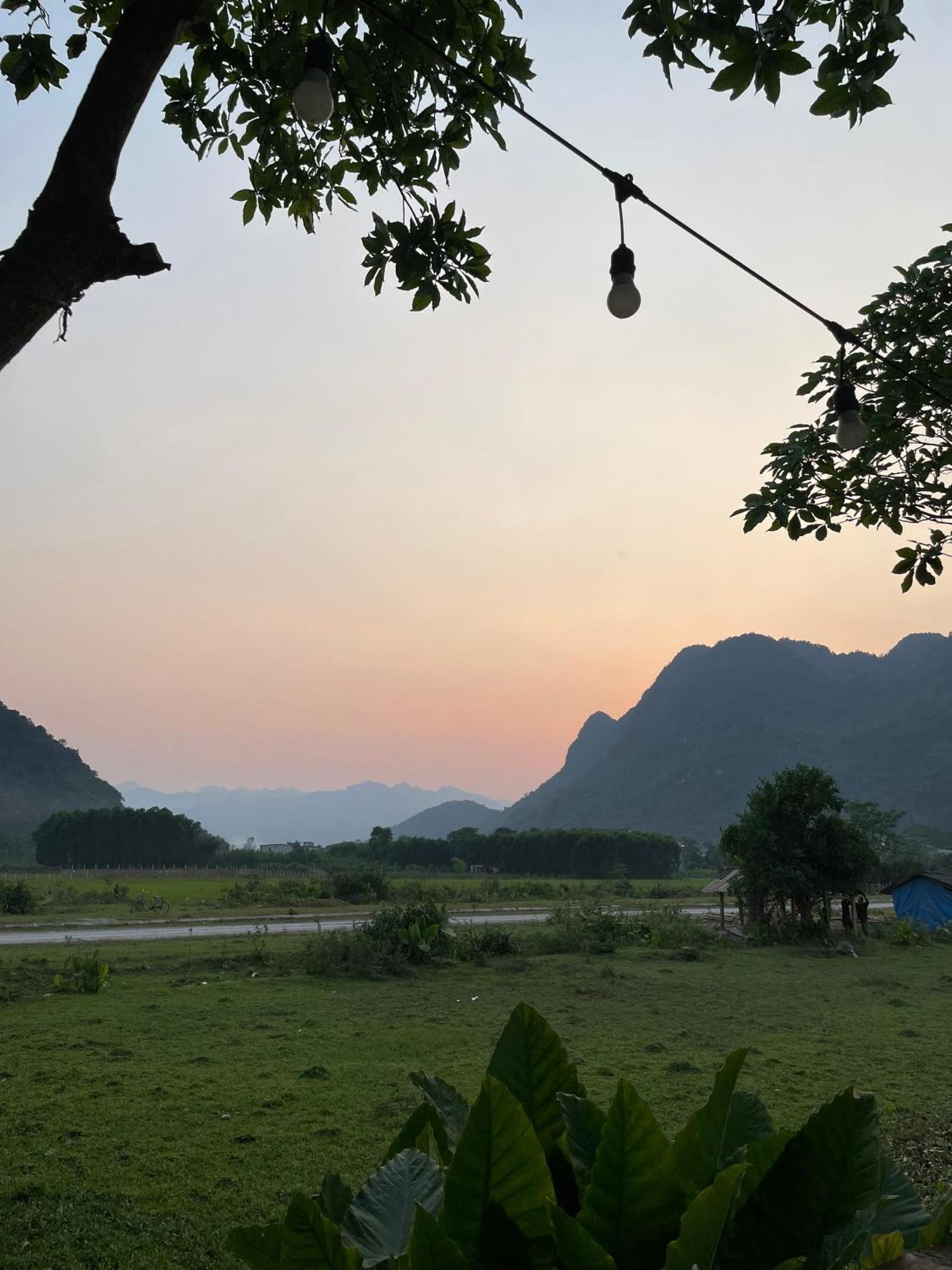 Jungle Boss Homestay Phong Nha Exterior foto