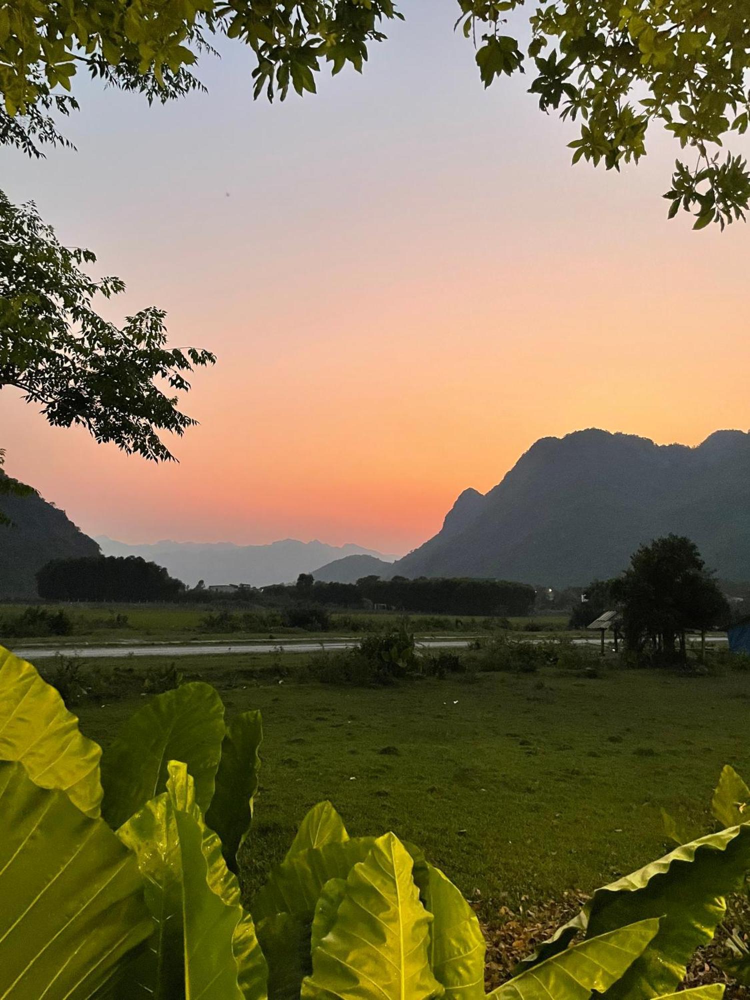 Jungle Boss Homestay Phong Nha Exterior foto